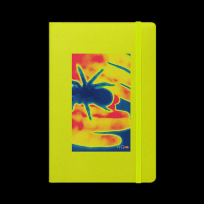 P44